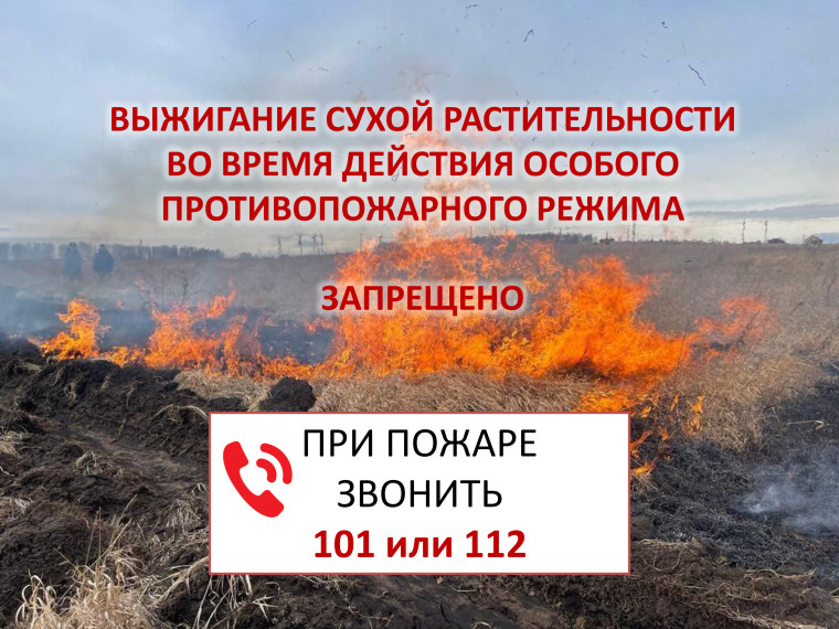 С 5 мая в центральных и южных районах Красноярского края введен ОСОБЫЙ ПРОТИВОПОЖАРНЫЙ РЕЖИМ!. С 5 мая в центральных и южных районах Красноярского края введен ОСОБЫЙ ПРОТИВОПОЖАРНЫЙ РЕЖИМ!.